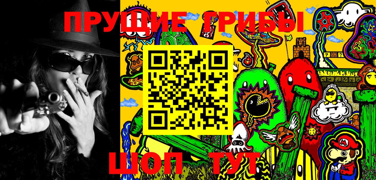 Прохладный  Псилоцибиновые грибы ЛСД  Псилоцибиновые грибы GOLDEN TEACHER  Вход с VPN 